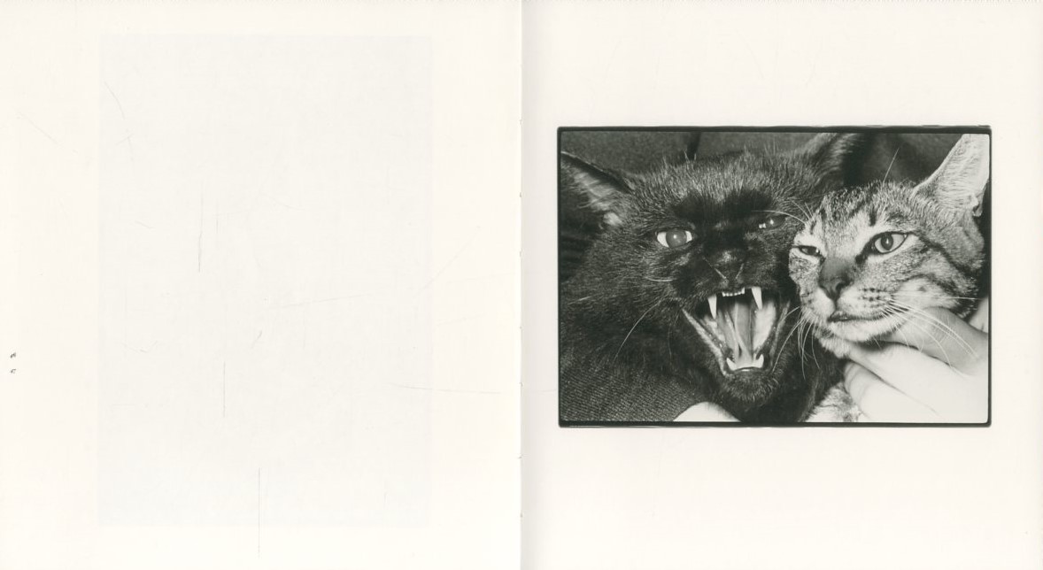 Wonderful Days / 写真：深瀬昌久 編集人：大田通貴 | 小宮山書店