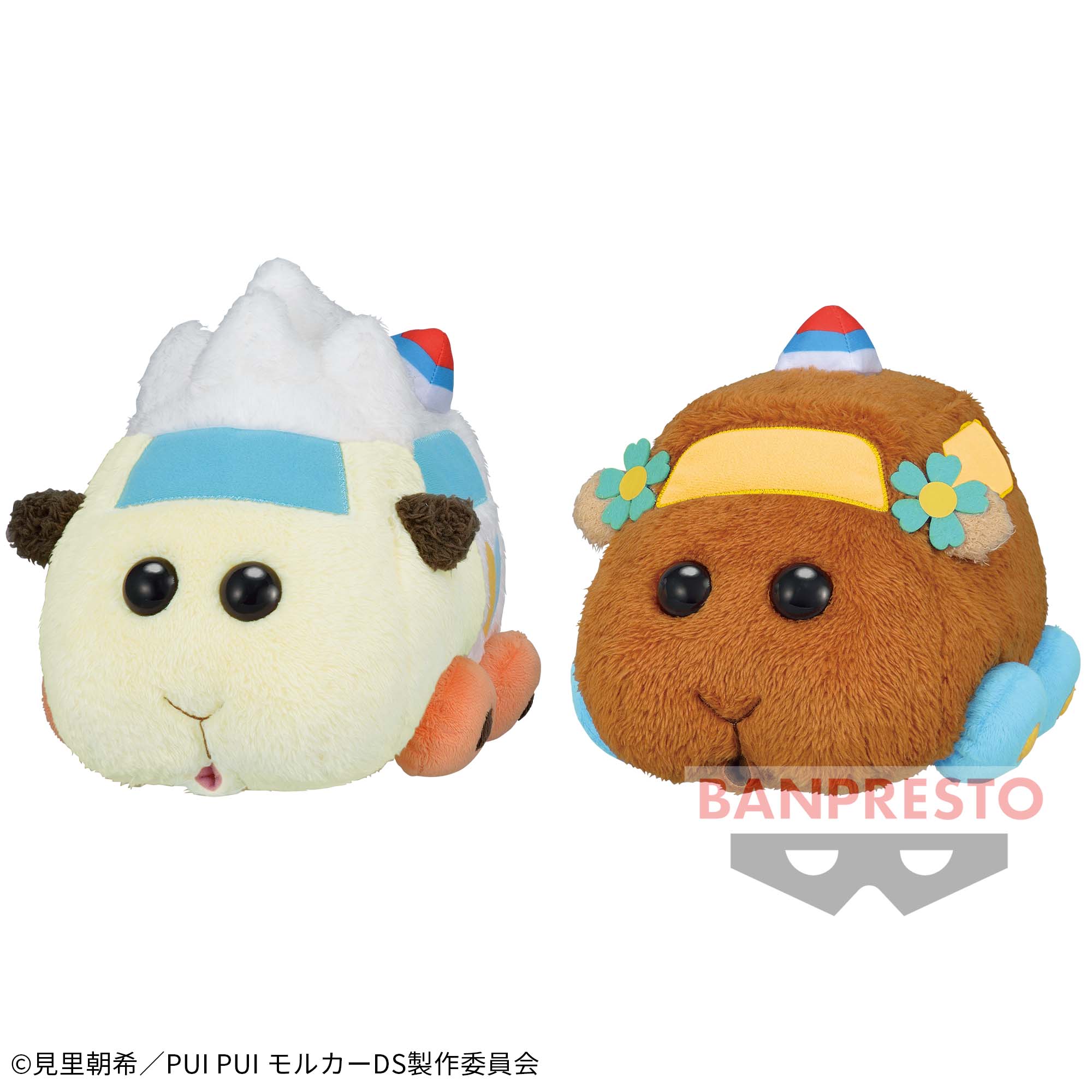 PUI PUI モルカー DRIVING SCHOOL ほっこりいやされ でっかい