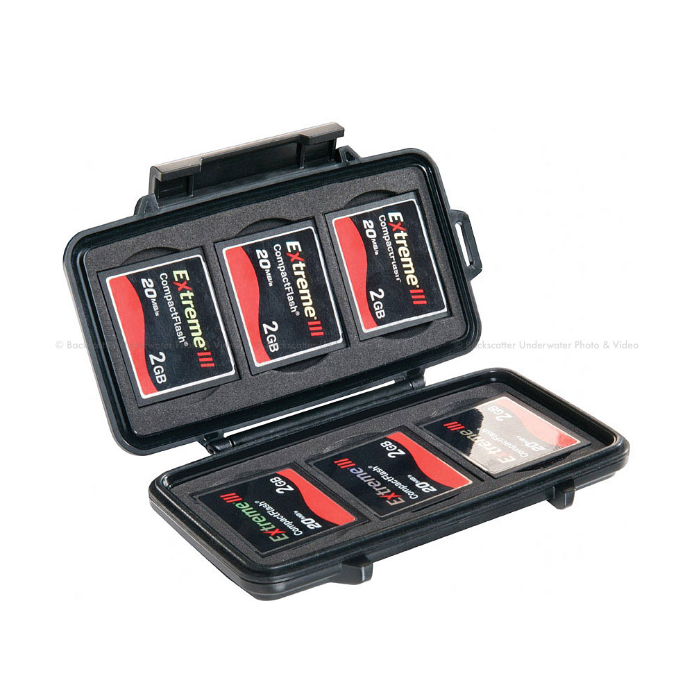 pel-0945_1.jpg?resizeid=6&