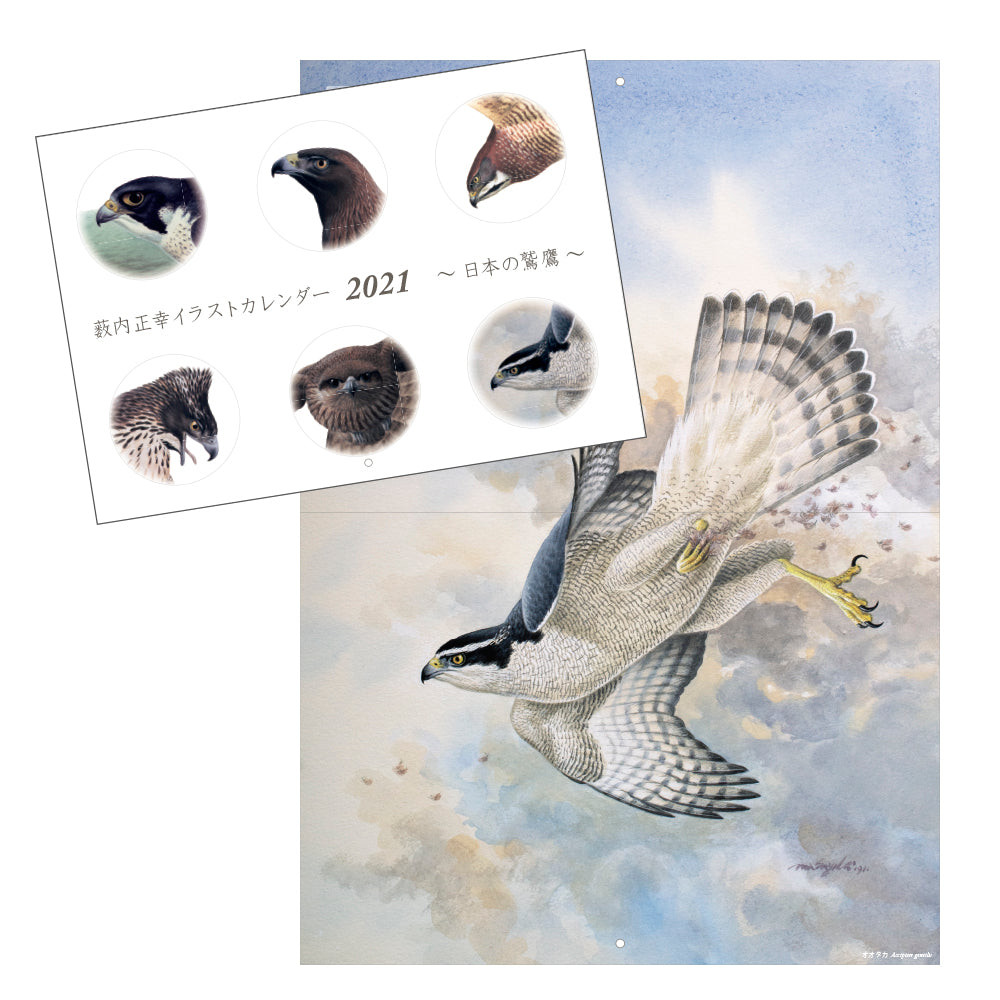 薮内正幸イラストカレンダー2021 〜鷲鷹〜 – いきもの細密画アートグッズ