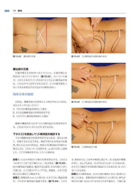 書籍『療法士のための体表解剖学』 | ガイアブックス（Gaiabooks）