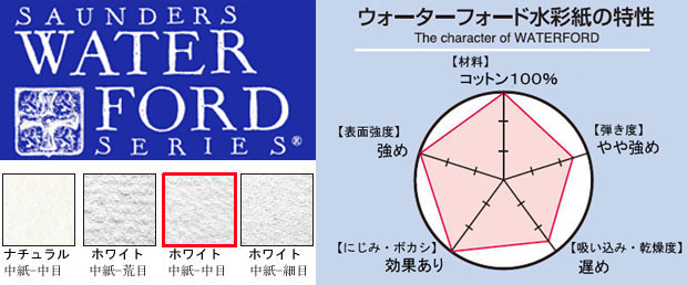 12枚入り】ウォーターフォード水彩紙 F6 ホワイト ブロック中目