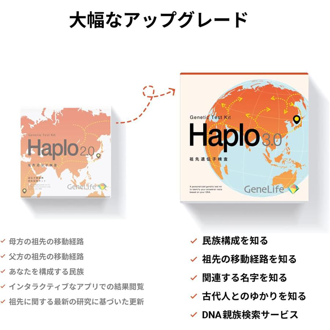 祖先遺伝子検査キット Haplo3.0 | 遺伝子検査のジーンライフ