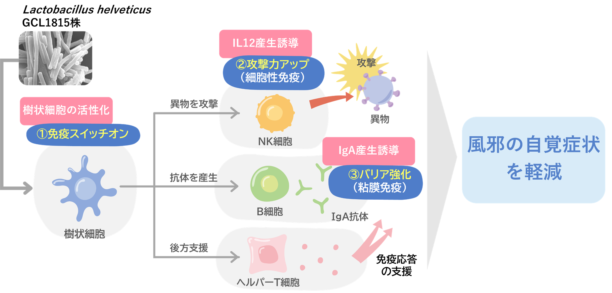 ⁑グリコさま専用 ALL – ページ 2 – グリコダイレクトショップ