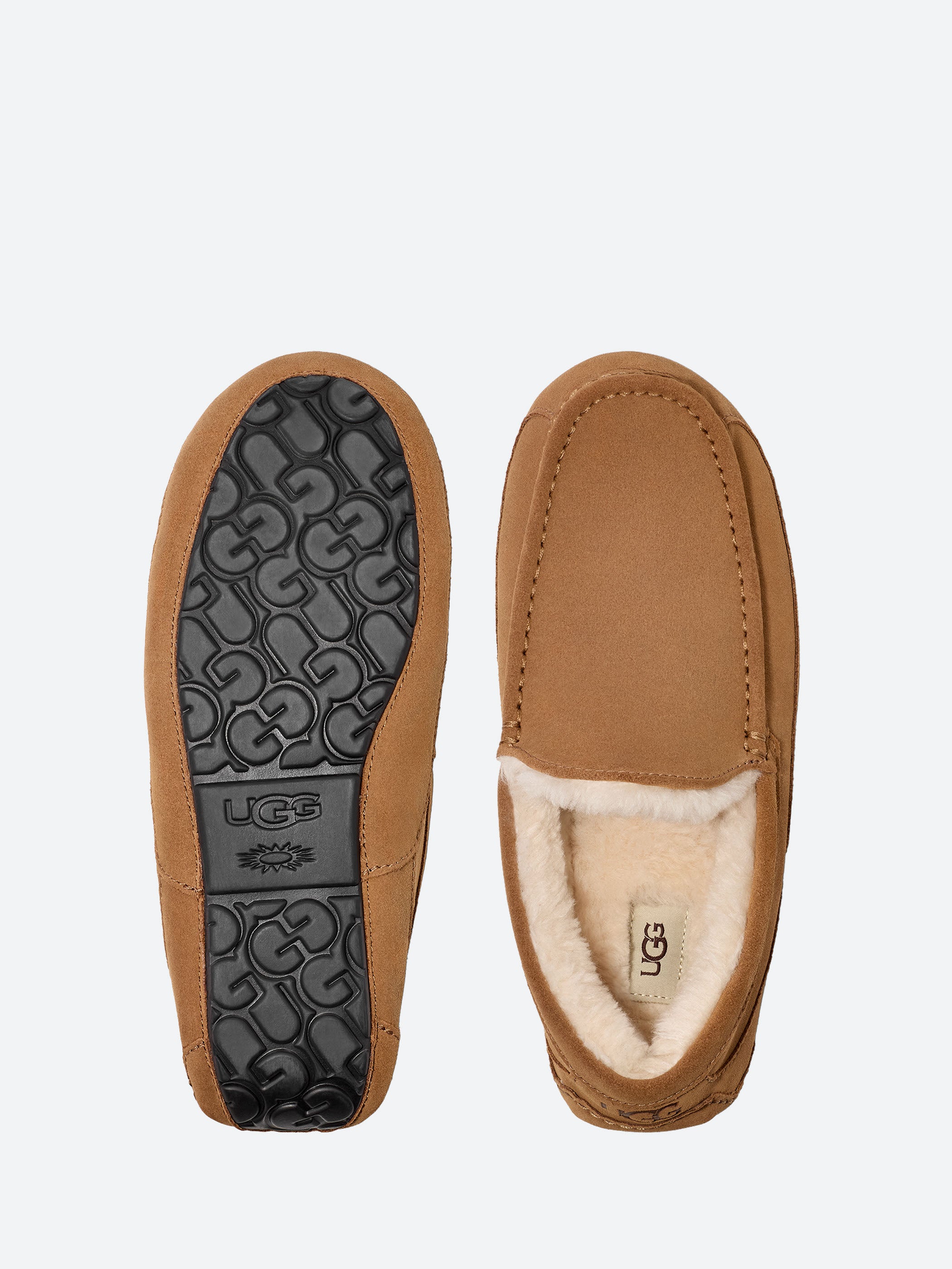 Ugg - Ascot Slipper in Chestnut – gravitypope