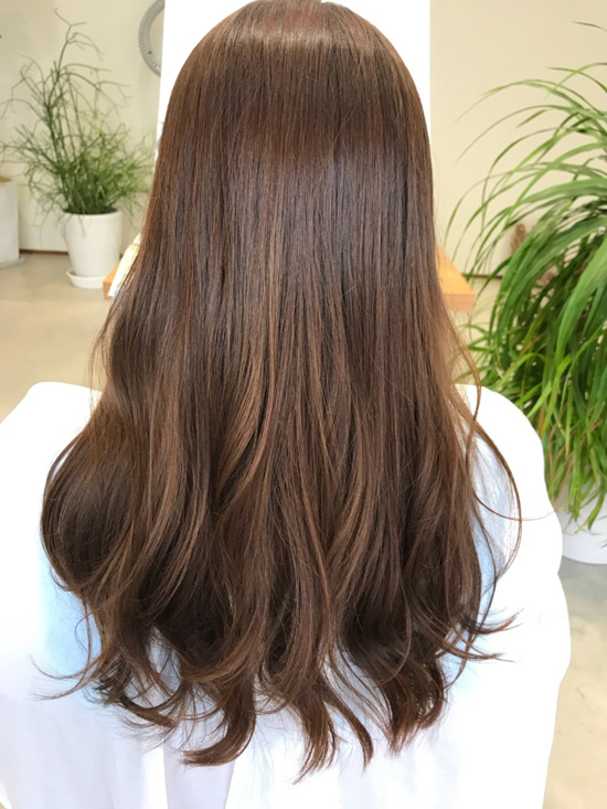 イルミナカラー サファリ | gumi-web