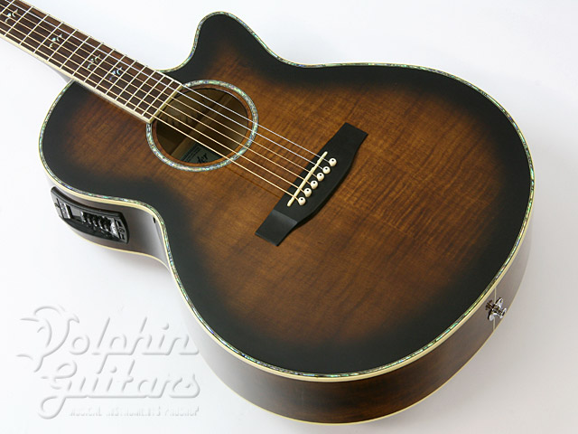 Cooder by Takamine TCP-560|ドルフィンギターズ