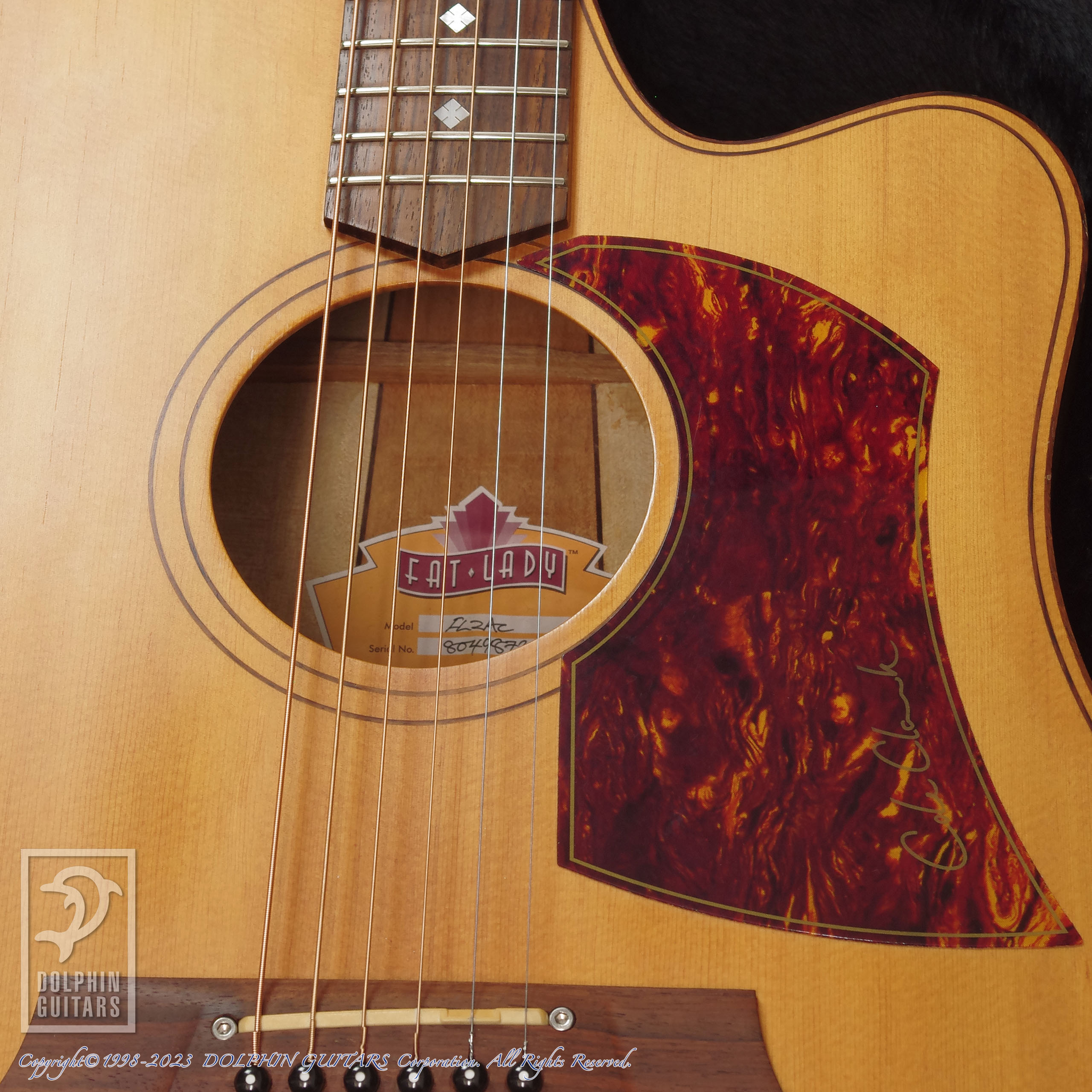 COLE CLARK FL2AC|ドルフィンギターズ