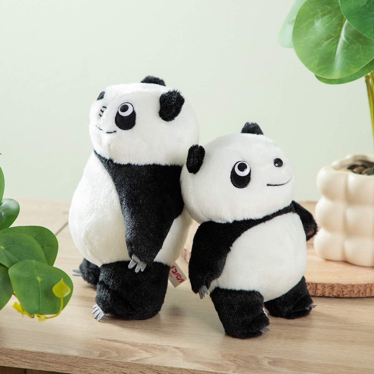 パンダコパンダ パンちゃん 立ち | どんぐり共和国そらのうえ店