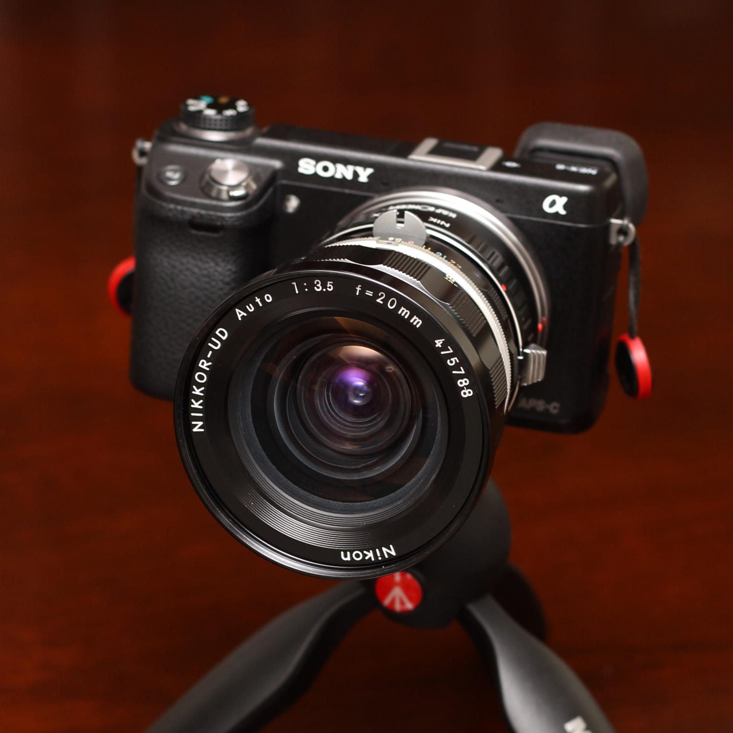 SONY NEX-6 －フィルムを通せば