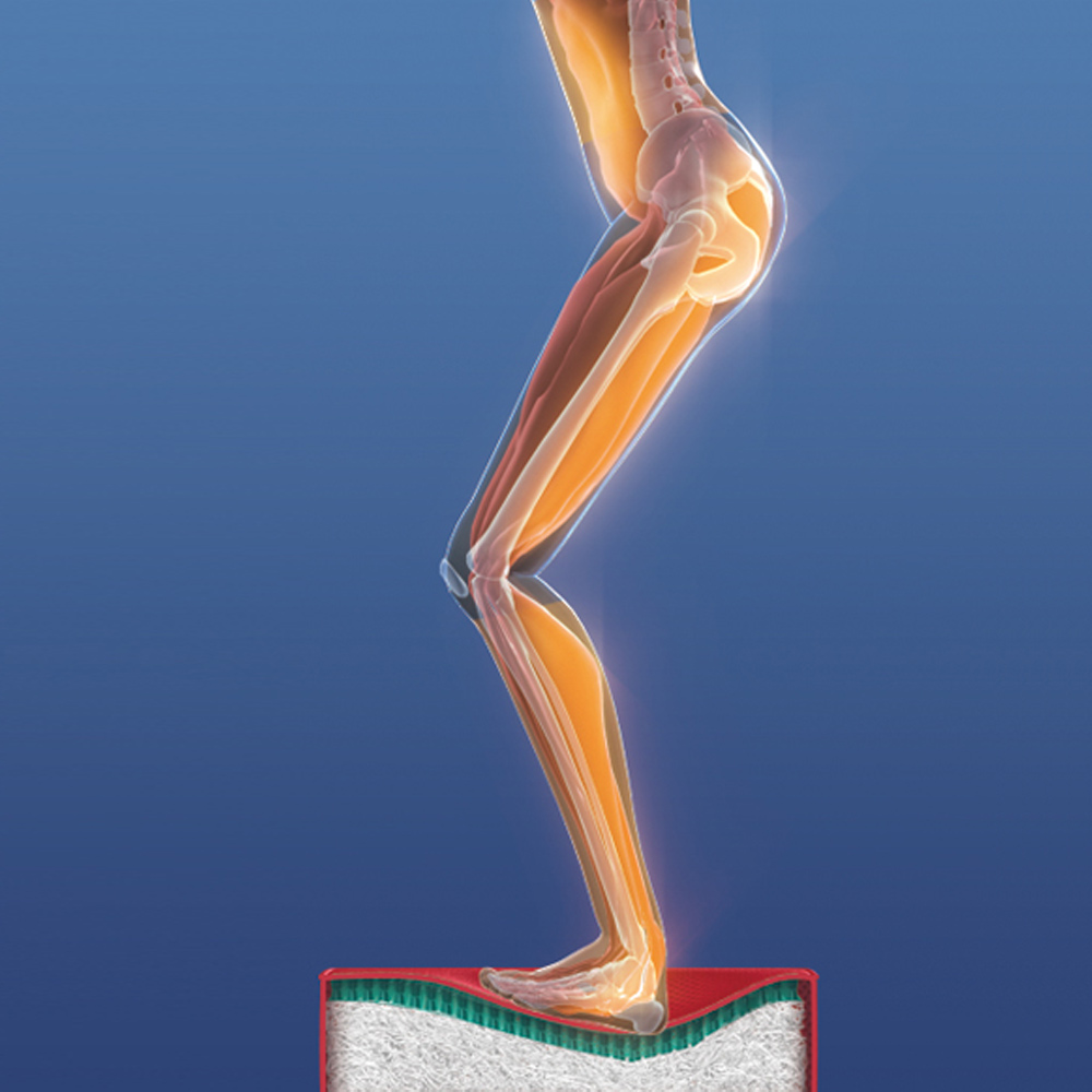 パーフェクトエクサ 通販 - ディノス