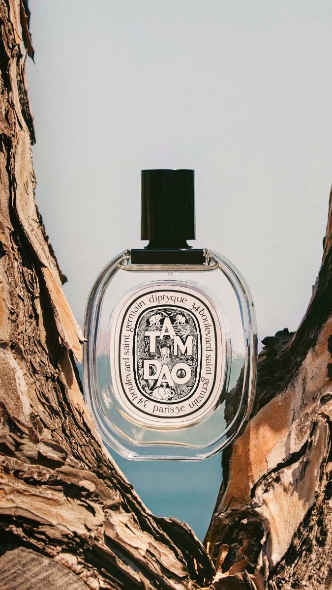 Tam Dao (タムダオ) - オードトワレ - 100ml | Diptyque Paris