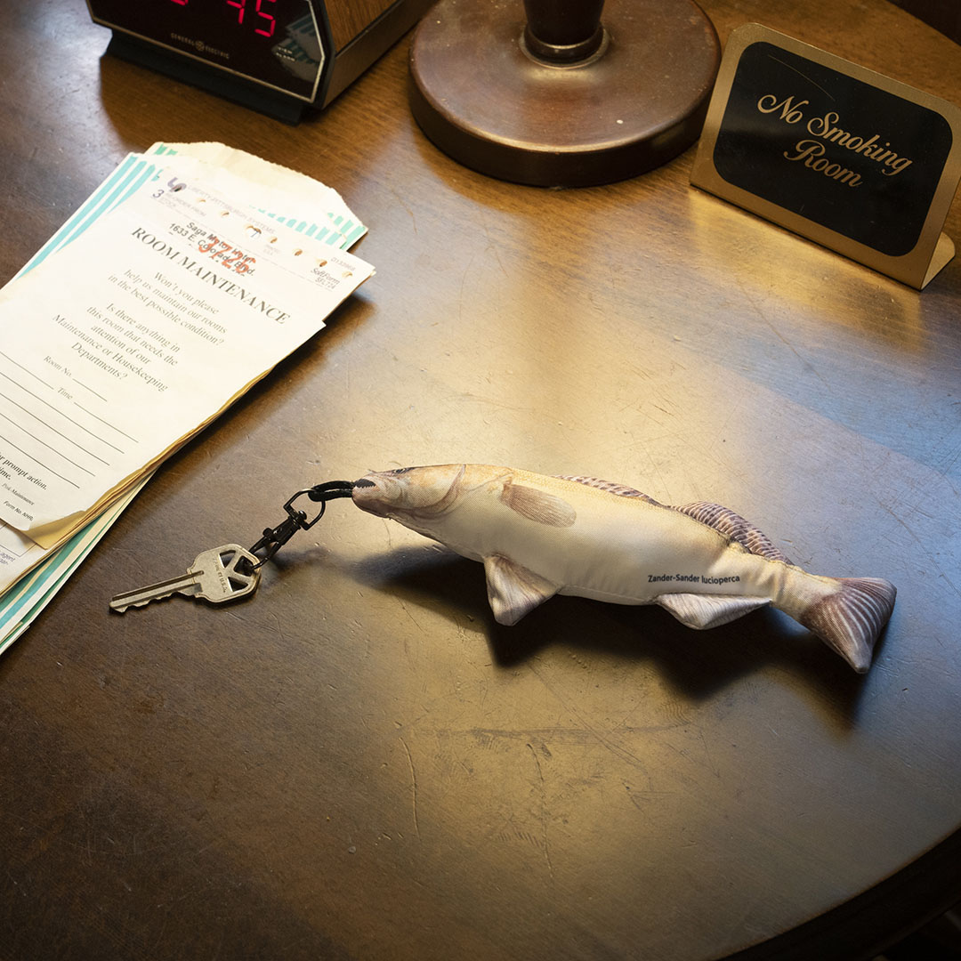 DULTON ONLINE SHOP | LITTLE FISHES ZANDER(ZANDER): インテリア雑貨