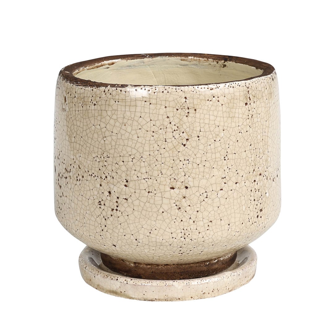 個性溢れるポット・プランター | 豊富なバリエーション