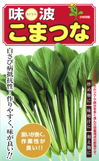 味波[小松菜]※次回2026年11月頃入荷予定 - e-種や｜国内最大級の野菜種