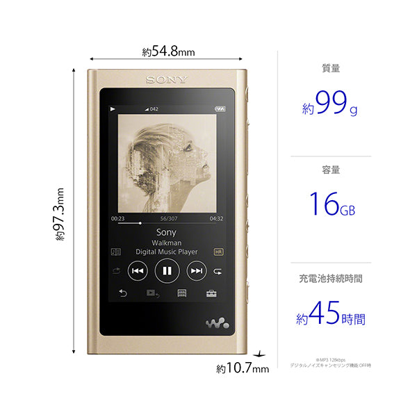 SONY NW-A55HN – e☆イヤホン