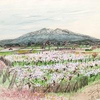 秋山（小林和作）ならアンシャンテオークション