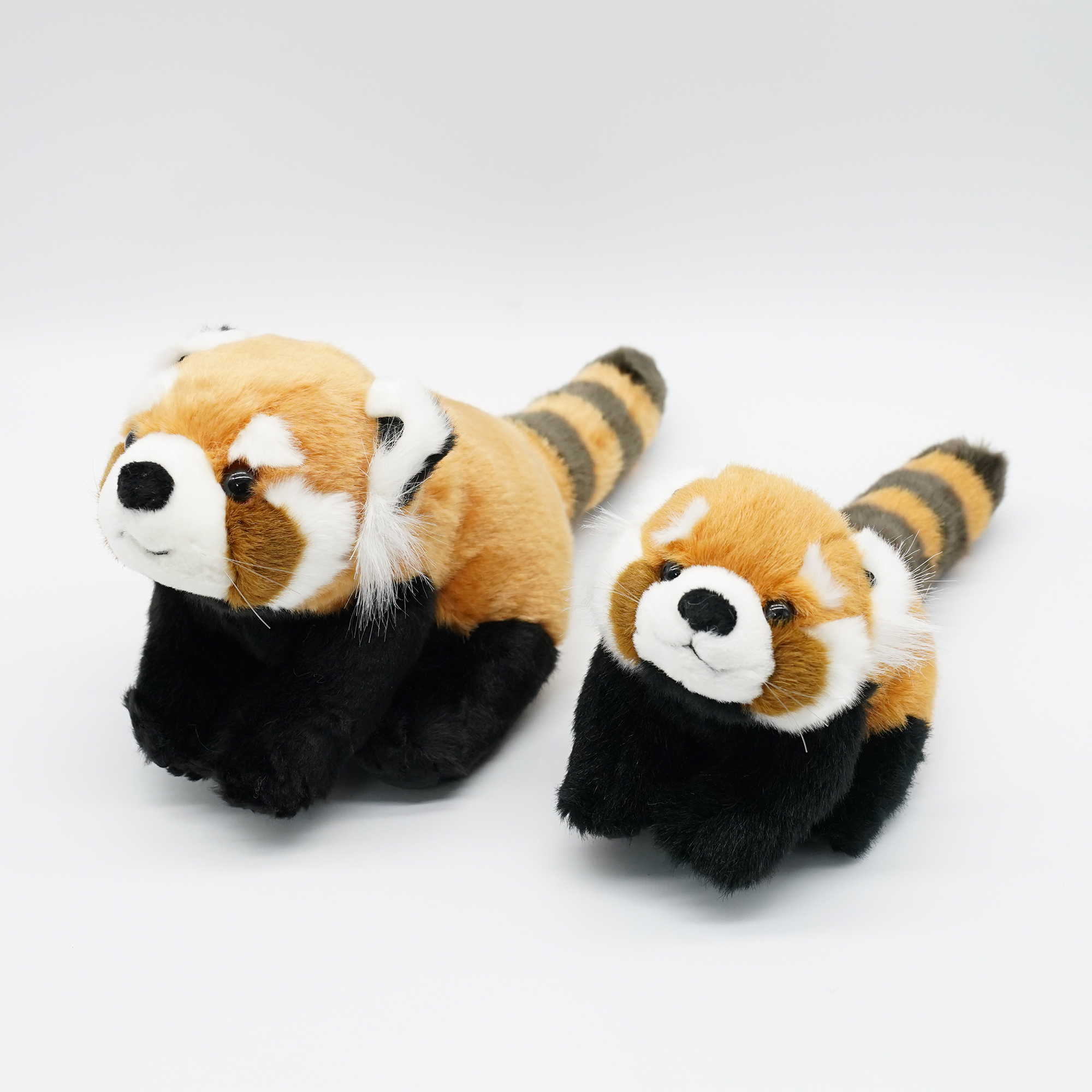 アドベンチャーワールド公式レッサーパンダぬいぐるみ【S・M】(Sサイズ