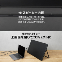 サンコー DMBG25HBK 23．8インチ上下2画面拡張デュアルモニター