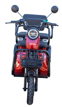 Pushpak 4000 650W 2-Person Electric Trike – Epic Wheelz