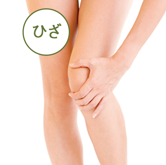 モイスチャライザー｜商品情報｜株式会社エリナ