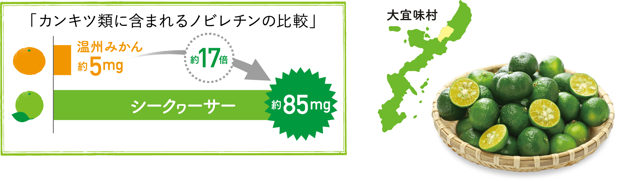 エリナ ノビレチンプラス｜商品情報｜株式会社エリナ