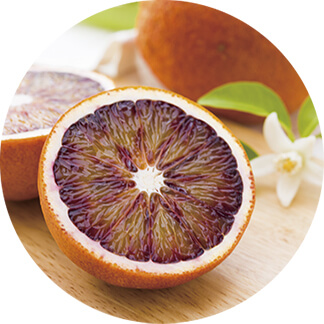 ファットファイヤー｜商品情報｜株式会社エリナ