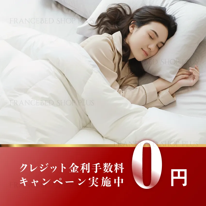 フランスベッド 羽毛ふとん ヴェルモラ01 | 【公式通販】フランス