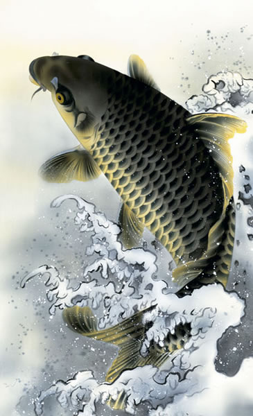 鯉 掛け軸 楽天市場】掛軸 鯉の滝昇り 中浦硯堂画(掛け軸 尺五立）幅