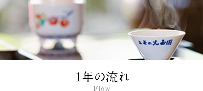 お茶の光玉園 / 抹茶