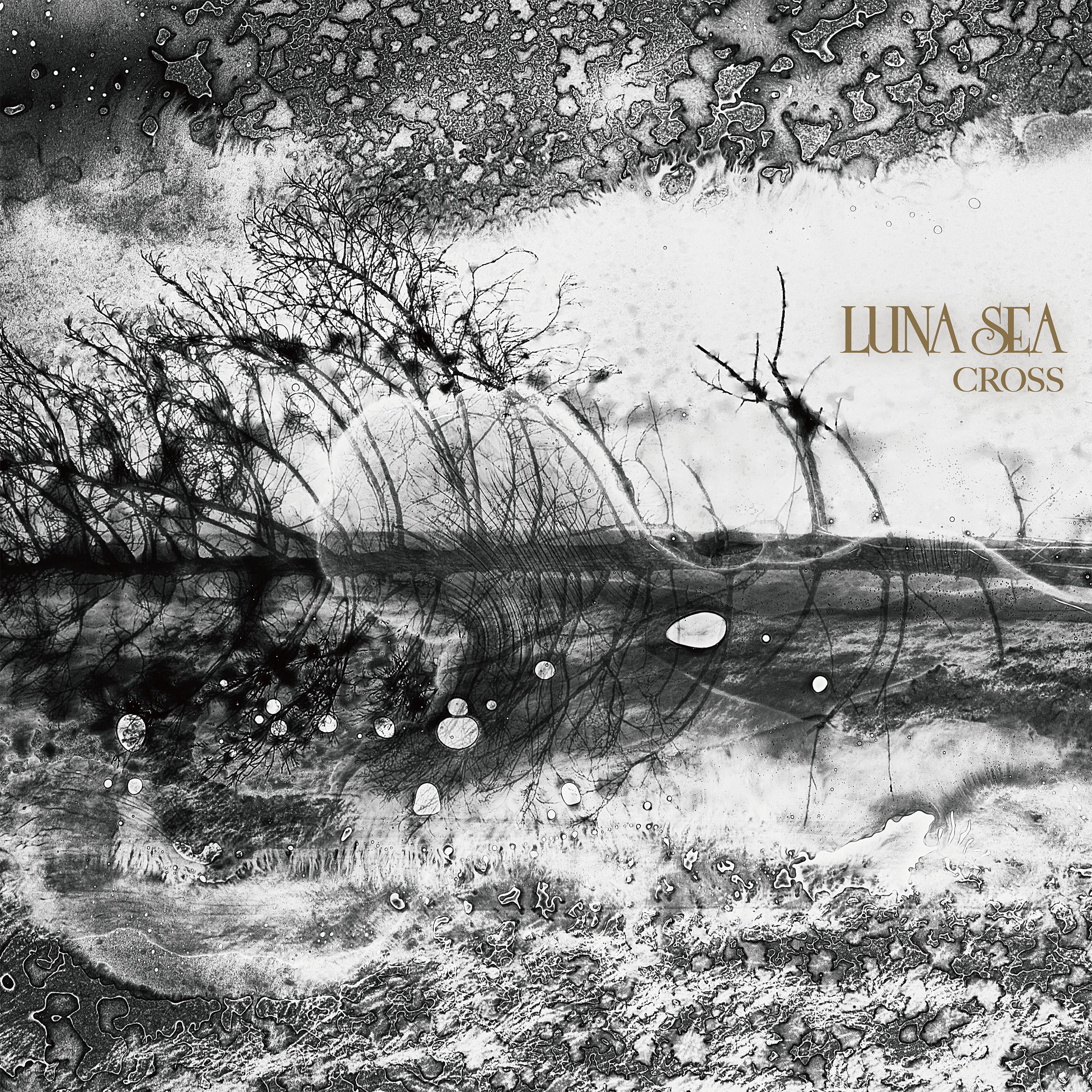 LUNA SEA／オリジナルアルバム『CROSS』ジャケット公開！ | NEWS