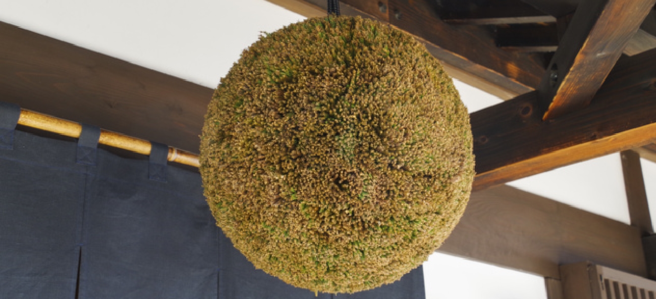 大嶺3粒 春風かすみ生酒 愛山 1800ml ｜ 大嶺酒造 ※要冷品（クール便配送）