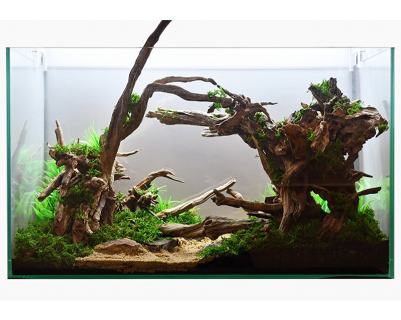 オールドウッド：石・流木 ～神畑養魚株式会社～