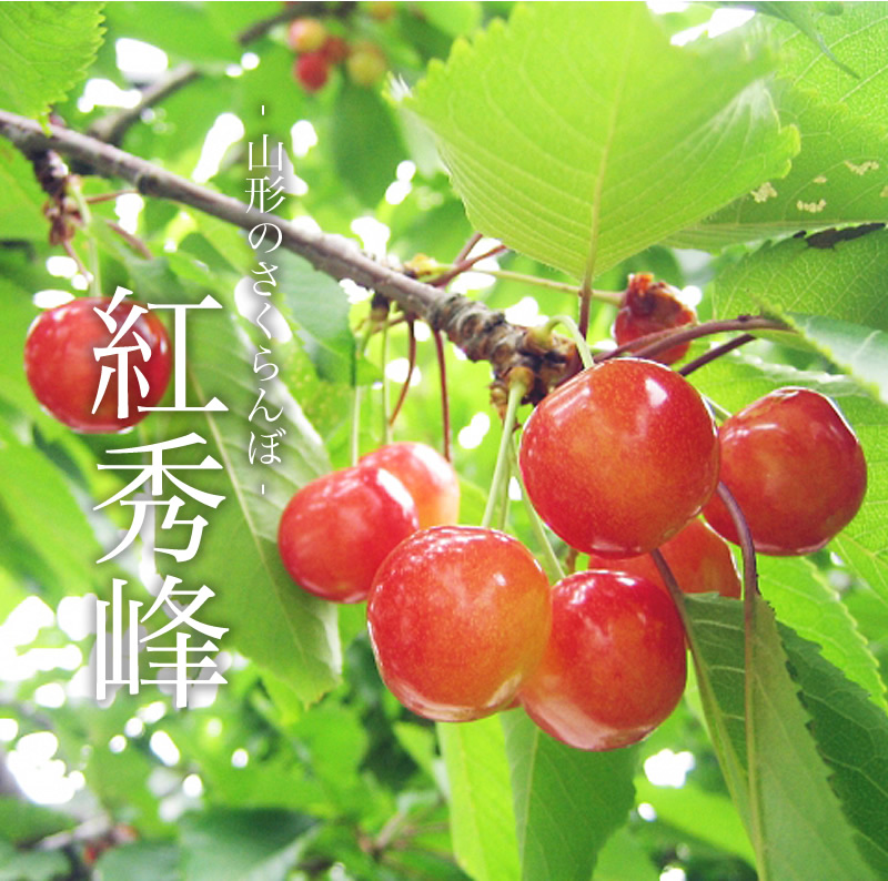 50箱限定】［特秀品］紅秀峰 1kg（2L～3Lサイズ）