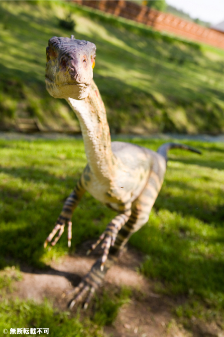 恐竜の歯コレクターなら押さえておきたい！恐竜大繁栄の先駆けとなった