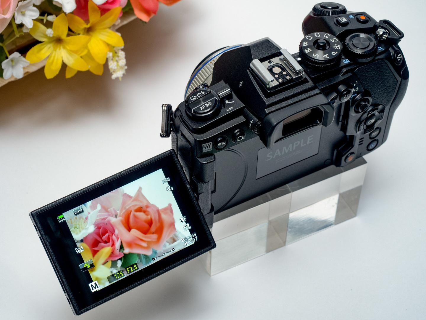 オリンパス OM-D E-M1 MarkIII レビュー｜小型ボディーとプロスペック