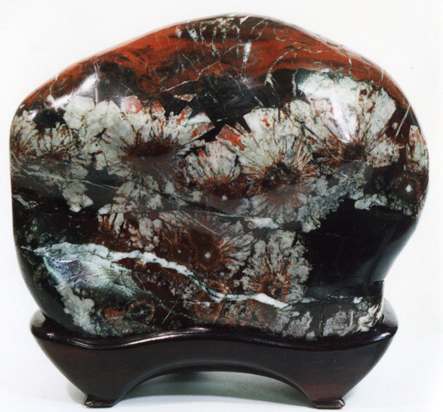 菊花石 花の種類 花の色彩 母岩の色彩