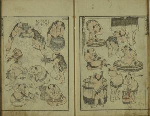 北斎 北斎漫画 九編 葛飾北斎画 江戸刷 題箋欠 見返と奥付欠 少指汚 色