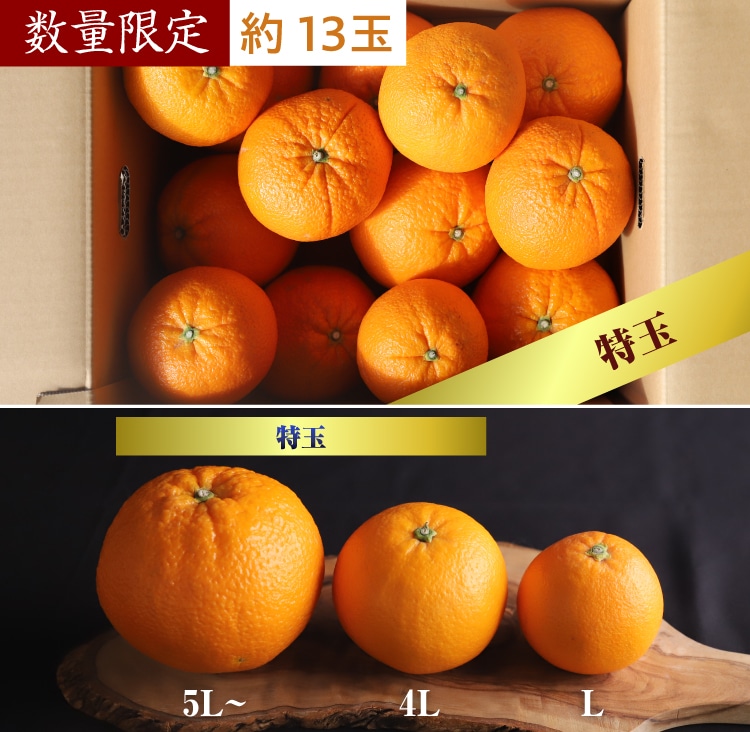 ネーブルオレンジ 8kg 特玉(おすそ分け袋なし): 井上誠耕園｜オリーブ
