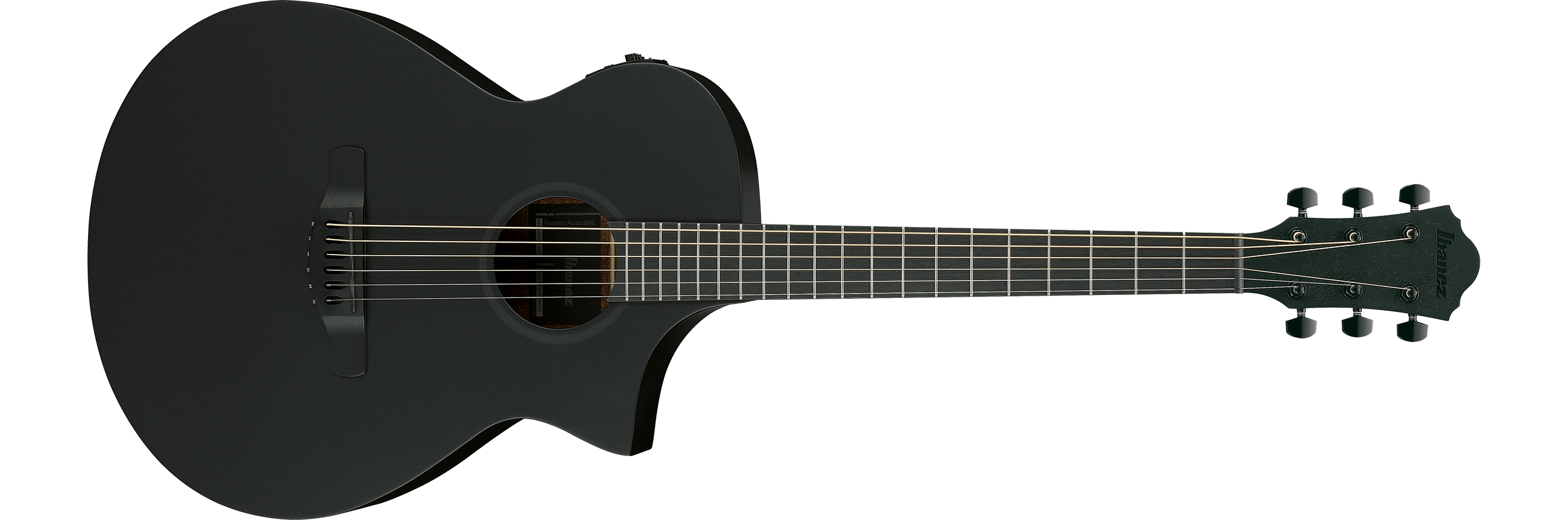 AEWC621 | AEW | ACOUSTIC GUITARS | PRODUCTS | Ibanez guitars