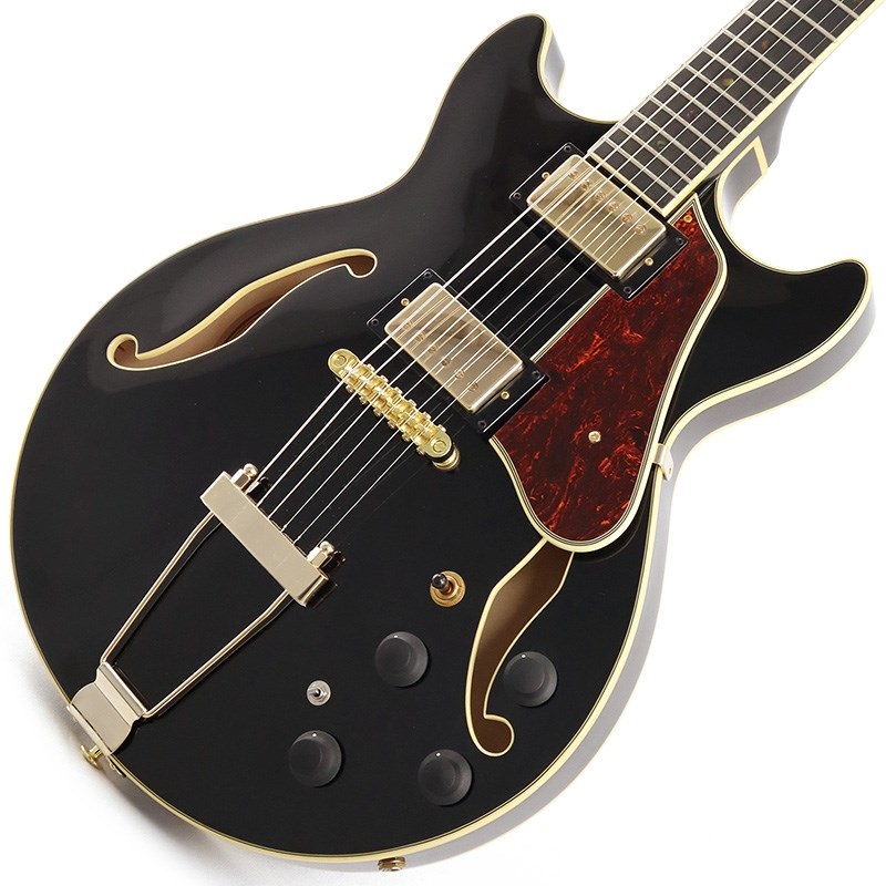 Ibanez Artcore Expressionist AMH90-BK (Black) ｜イケベ楽器店