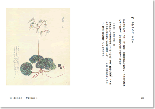 新編 百花譜百選／木下 杢太郎, 前川 誠郎｜岩波文庫 - 岩波書店