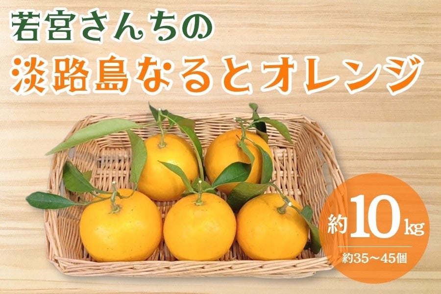 若宮さんちの淡路島なるとオレンジ（約10㎏）: あつめて、兵庫