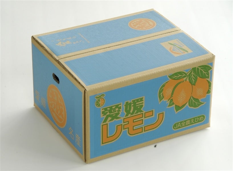 LM10】「レモン」約10kg（秀M・L） JAおちいまばり 【発送
