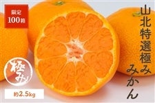 限定100箱】山北特選極みみかん 約2.5kg 12/2～12/24の間に発送: とさ