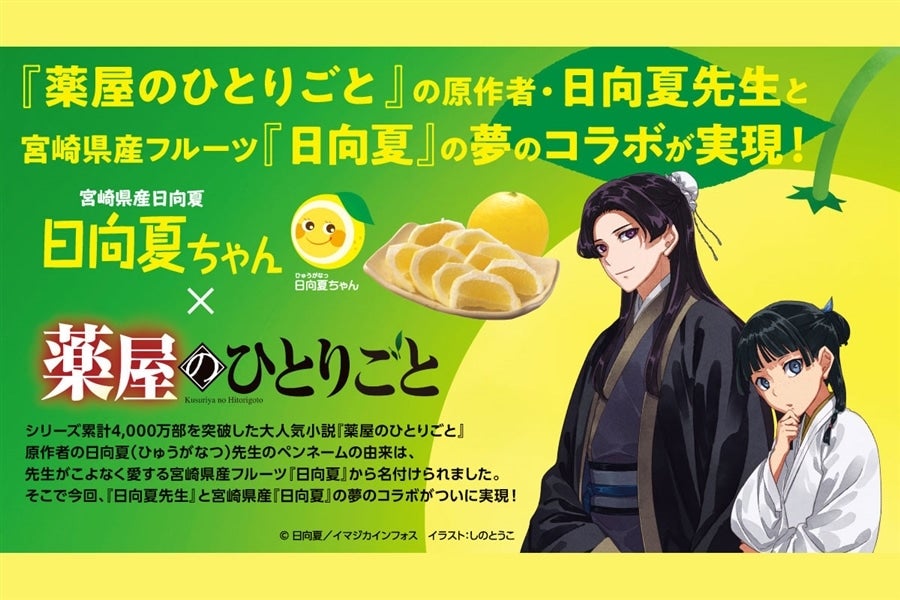 宮崎県産 日向夏 小説「薬屋のひとりごと」コラボパッケージ 2.5kg（種