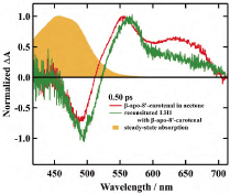 カロテノイド：構造と機能から見る新たな視点 | JAIMA 一般社団法人