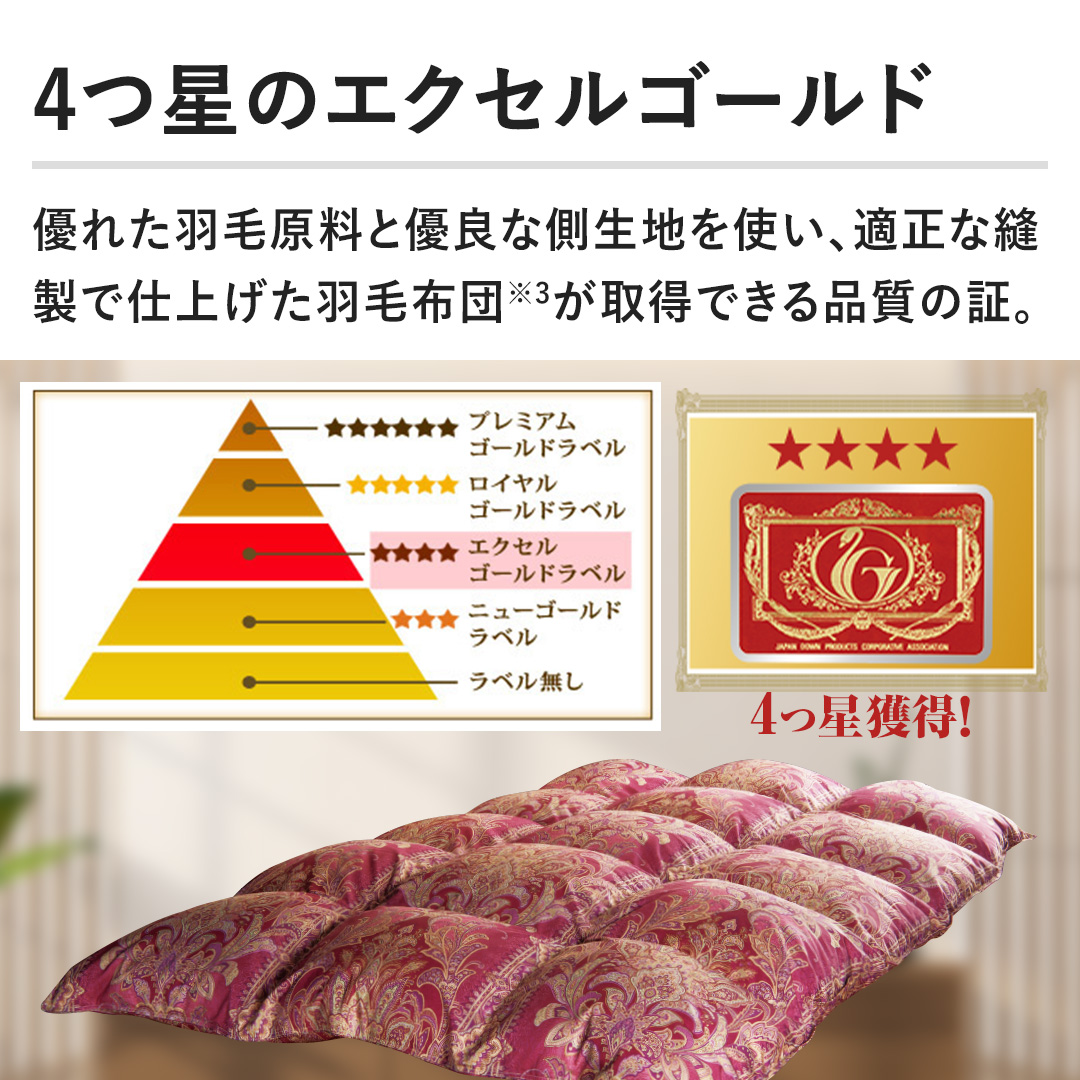 モリリン 布団・快眠グッズ エクセルラベル羽毛布団 シングル ワイン
