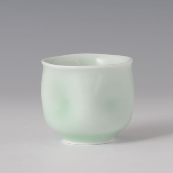 Japan Pottery Net / 庄村健