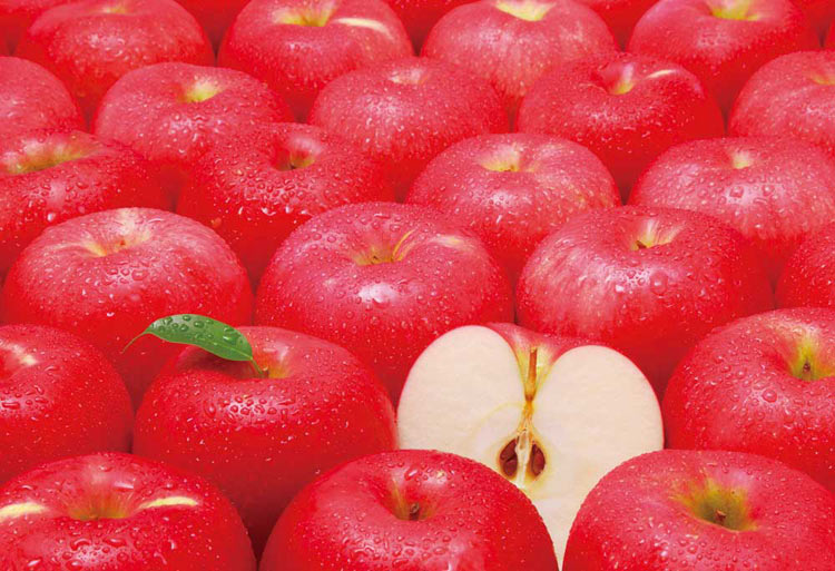 EPO-79-363 Mr.Puzzleからの挑戦状 リンゴからの挑戦状 1053ピース